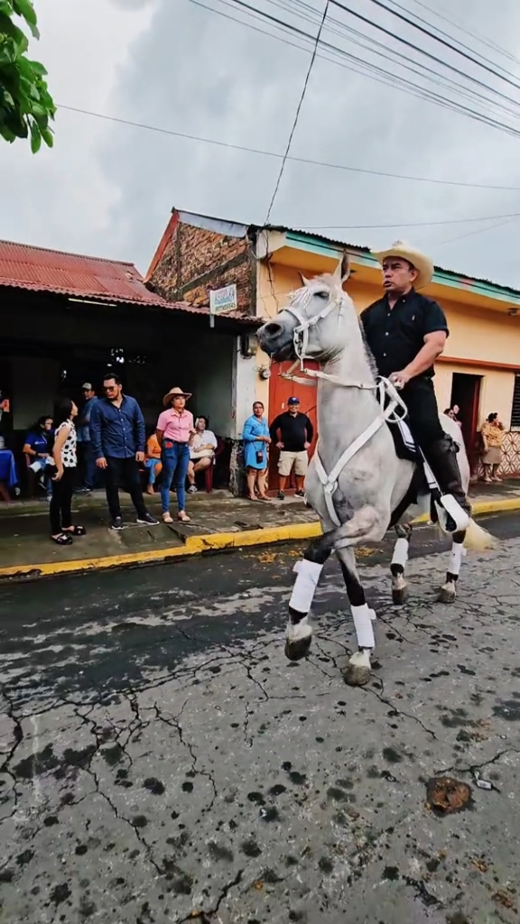 阿根廷代表团在马术比赛中夺得金牌
