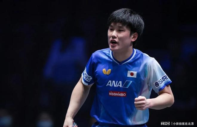 关于瑞典队轻取德国队，张本智和高光表现的信息